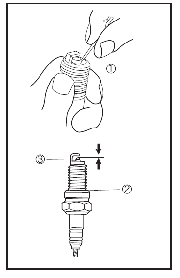 Spark plug inspection