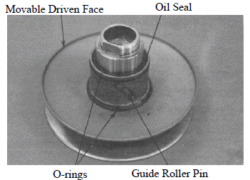 Drive and Driven Pulleys/Kick Starter