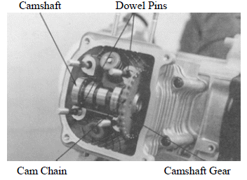 Cylinder Head/Valves